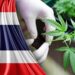 5 Sebab Kenapa Thailand Menghalalkan Kanabis