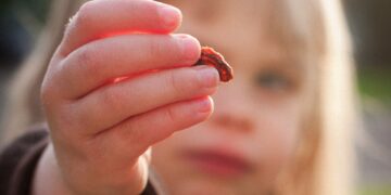 Kismis Untuk Anak. Kenapa Ibu Patut Tambah Kismis dalam Bekal Anak?