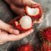 Makan Banyak Rambutan Boleh Demam? Fakta atau Mitos?