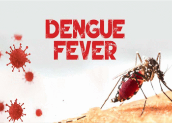 Hati-Hati! Demam Denggi Boleh Serang Sesiapa Sahaja