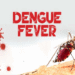 Hati-Hati! Demam Denggi Boleh Serang Sesiapa Sahaja