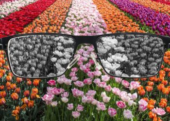 Anak Buta Warna? Kenali Tanda Awal & Cara Menanganinya