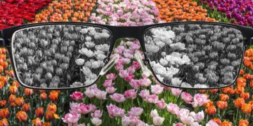 Anak Buta Warna? Kenali Tanda Awal & Cara Menanganinya