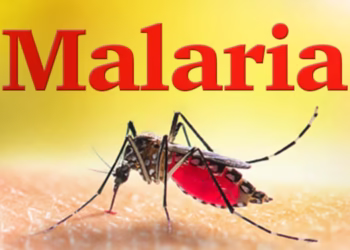 Mengapa Malaria Masih Jadi Ancaman? Punca, Simptom & Cara Cegah