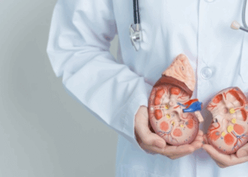 Dialisis Buah Pinggang: Apa Itu, Bila Perlu & Bagaimana Prosesnya?