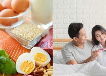 Pilihan Makanan untuk Kesuburan Wanita yang Disokong Kajian Sains