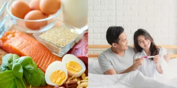 Pilihan Makanan untuk Kesuburan Wanita yang Disokong Kajian Sains