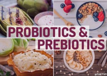 Probiotik & Prebiotik: Apa Perbezaannya dan Kenapa Tubuh Perlukannya?