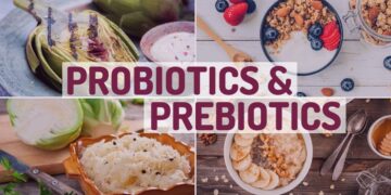 Probiotik & Prebiotik: Apa Perbezaannya dan Kenapa Tubuh Perlukannya?