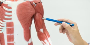 Panduan Menjaga Kesihatan Otot