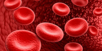 Rahsia Tubuh Sihat: Peranan Penting Darah dan Cecair Badan