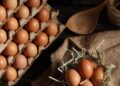 Benefits of Including Eggs In Your Diet