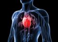 What Are The Early Signs Of Heart Problems?