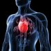 What Are The Early Signs Of Heart Problems?