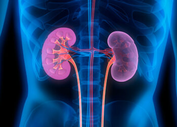 5 Things You Need To Know About Kidney Failure