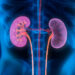 5 Things You Need To Know About Kidney Failure