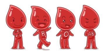 How Your Blood Type Affects Health and Diet