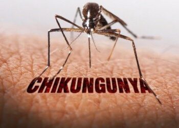 Effective Treatments for Chikungunya