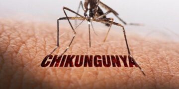 Effective Treatments for Chikungunya