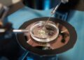 What Is IVF Treatment and What To Expect