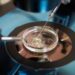 What Is IVF Treatment and What To Expect