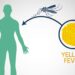 Yellow Fever: Symptoms and Prevention