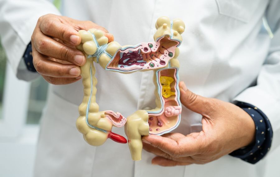 Bagaimana Metabolisme Mempengaruhi Tenaga, Berat Badan & Kesihatan