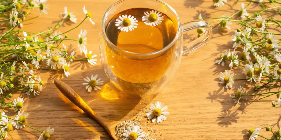 Teh Chamomile: Minuman Tenang untuk Tidur Lebih Lena