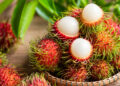 Tahukah Anda? Serat Dalam Rambutan Membantu Menyokong Bakteria Baik Dalam Usus