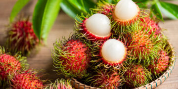 Tahukah Anda? Serat Dalam Rambutan Membantu Menyokong Bakteria Baik Dalam Usus