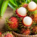 Tahukah Anda? Serat Dalam Rambutan Membantu Menyokong Bakteria Baik Dalam Usus